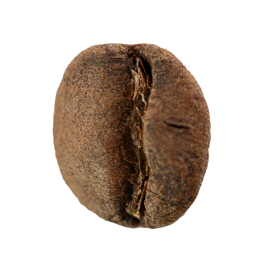Brazil, Fazenda Vale Encantado