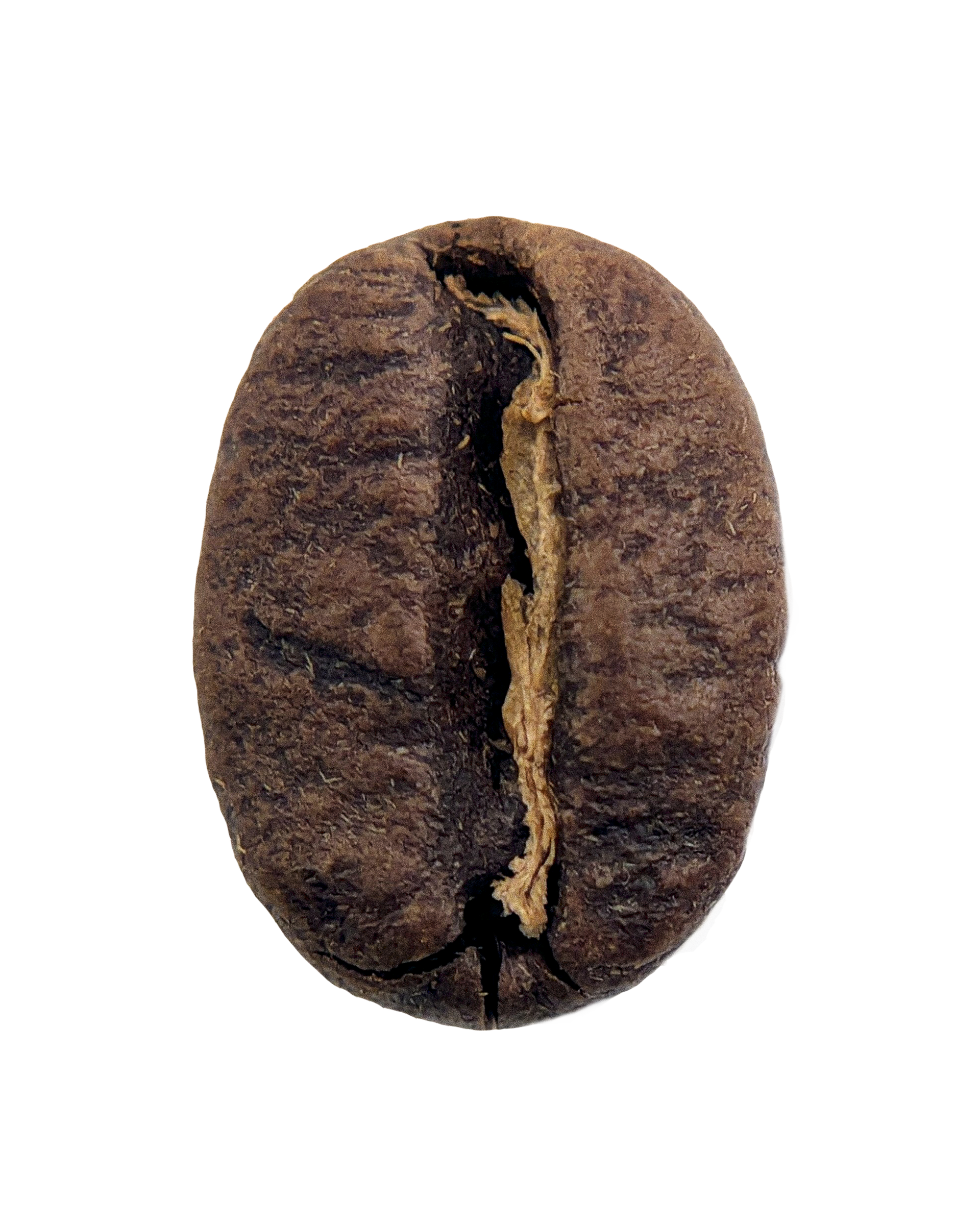 Ethiopia, Yirgacheffe – Herkimer Coffee